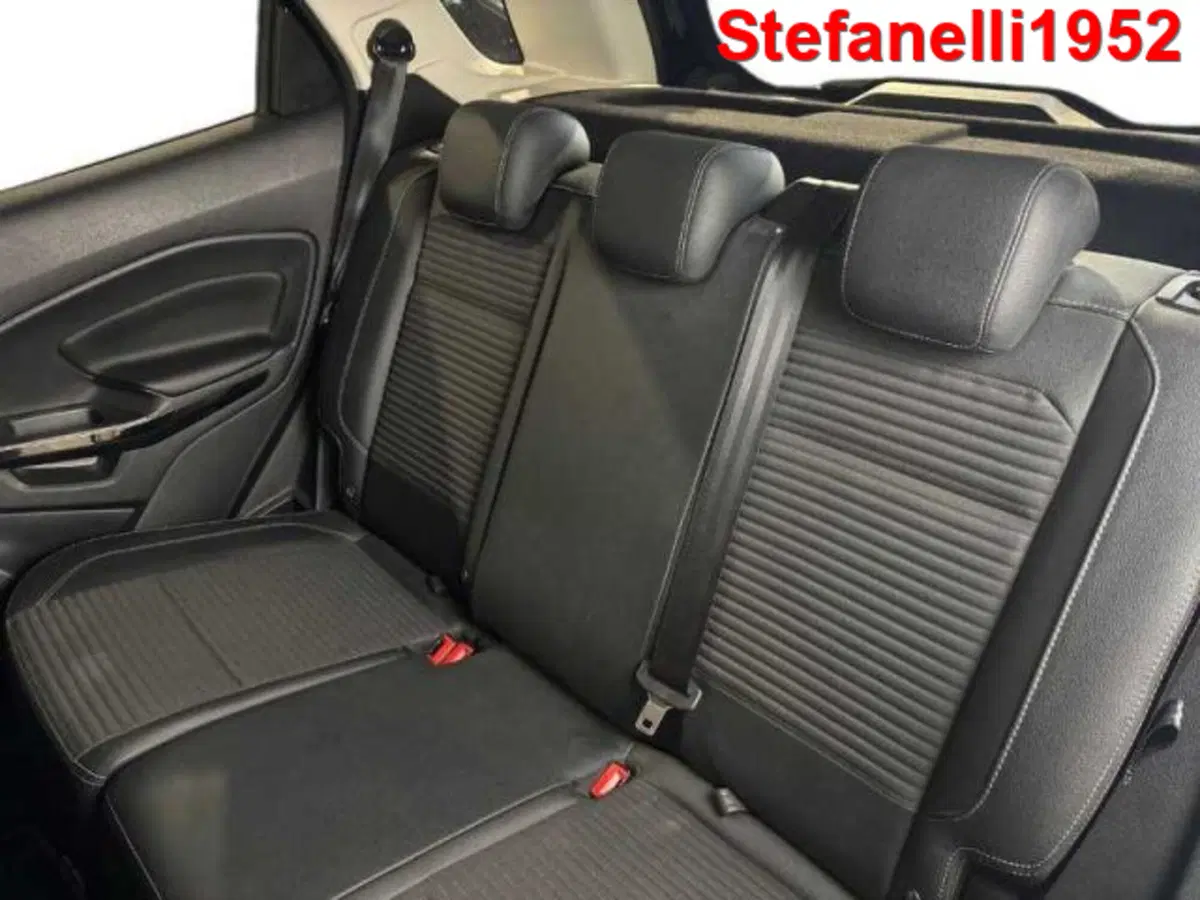Ford EcoSport usata a Bologna (9)