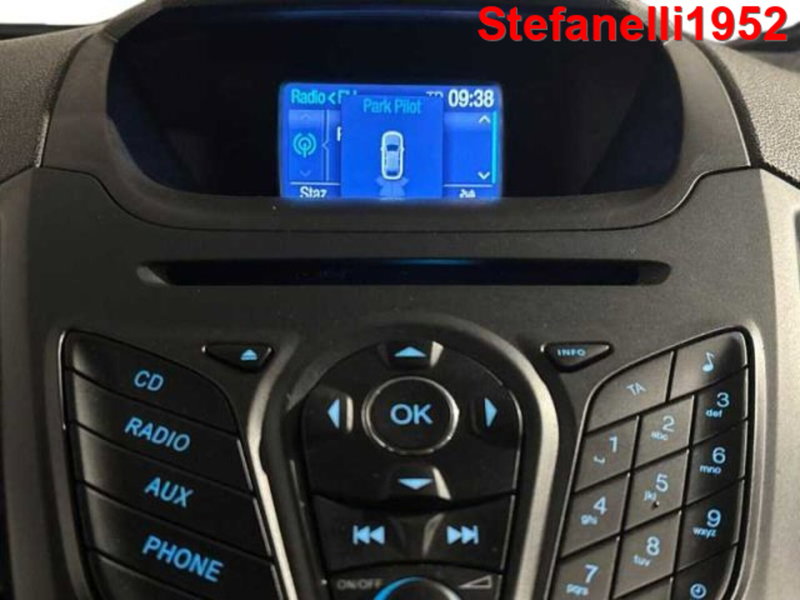 Ford EcoSport usata a Bologna (17)