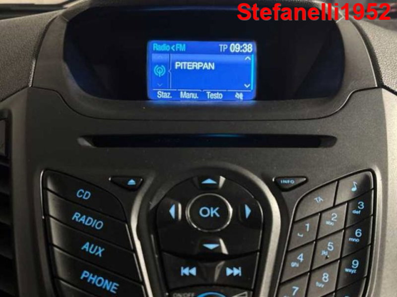 Ford EcoSport usata a Bologna (18)