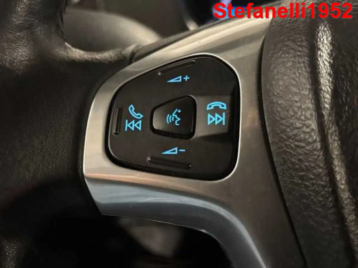 Ford EcoSport usata a Bologna (20)