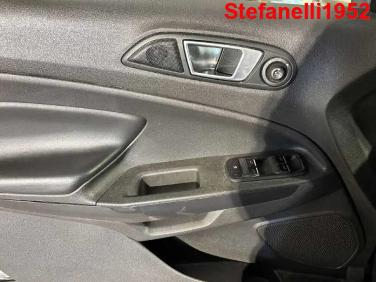 Ford EcoSport usata a Bologna (10)