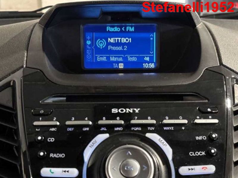 Ford EcoSport usata a Bologna (18)