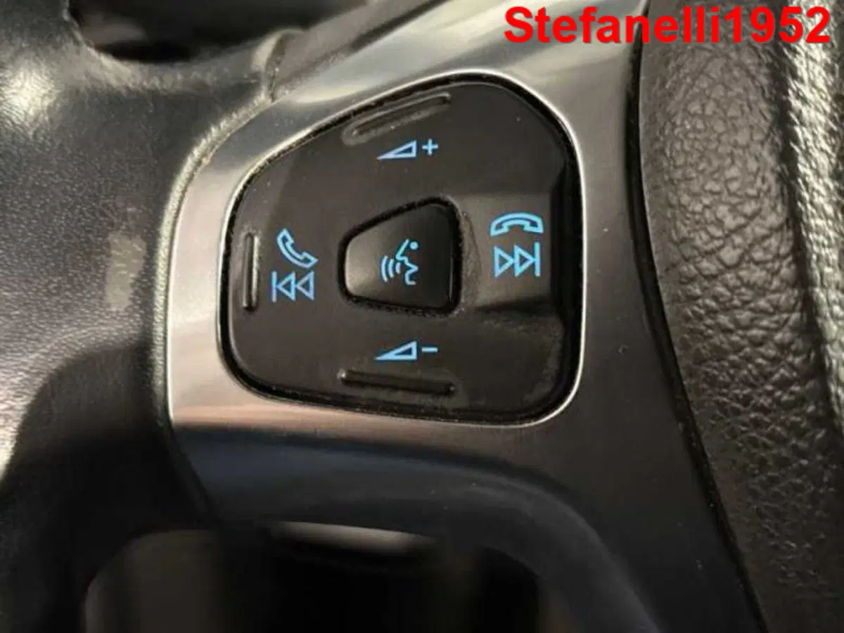 Ford EcoSport usata a Bologna (20)