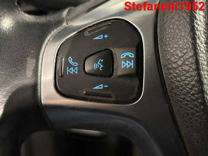Ford EcoSport usata a Bologna (20)