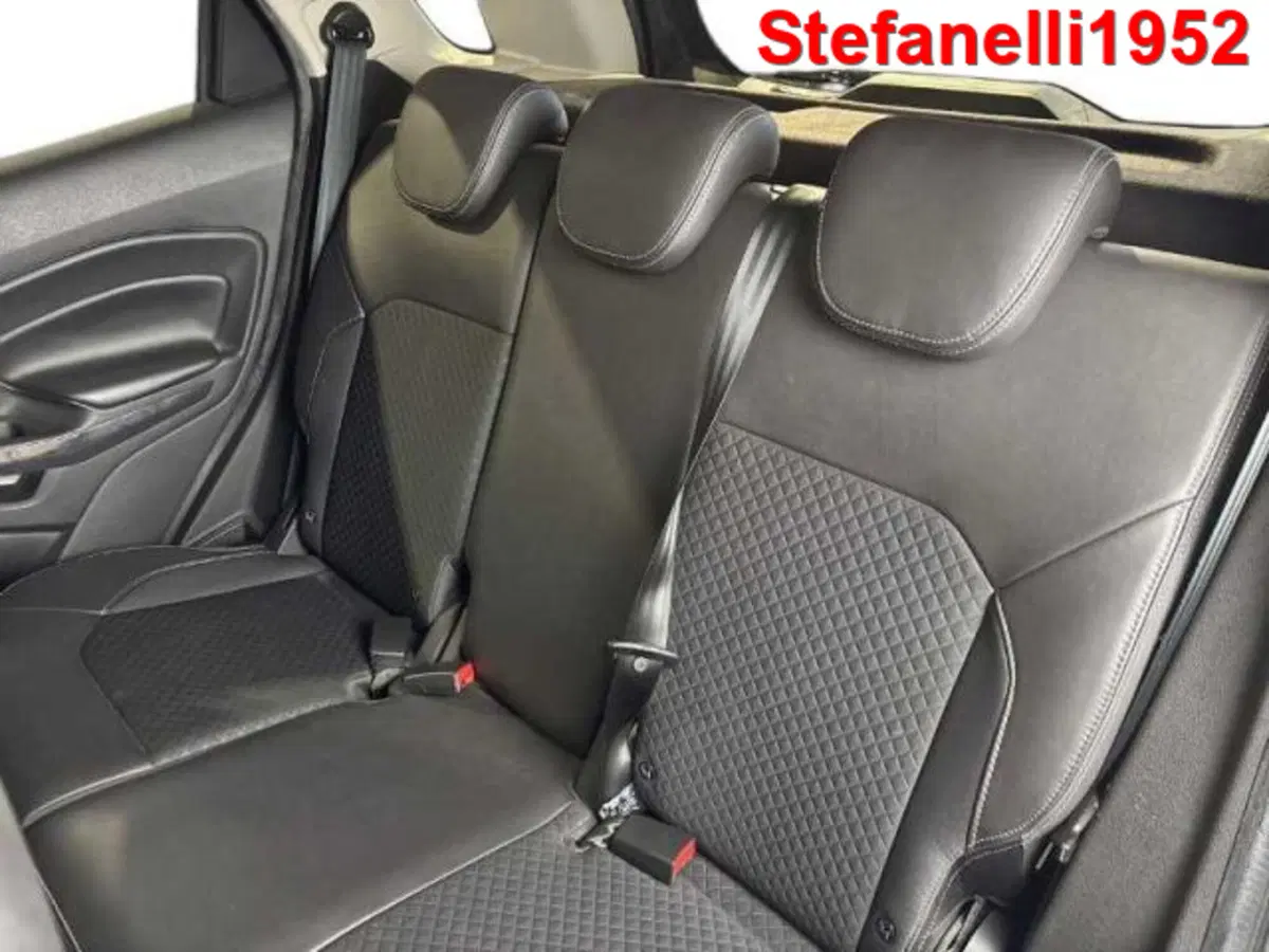 Ford EcoSport usata a Bologna (9)