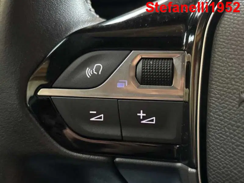Peugeot 3008 usata a Bologna (20)