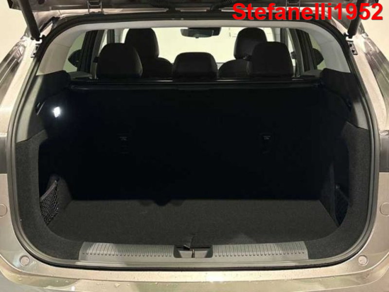 Mg HS nuova a Bologna (7)