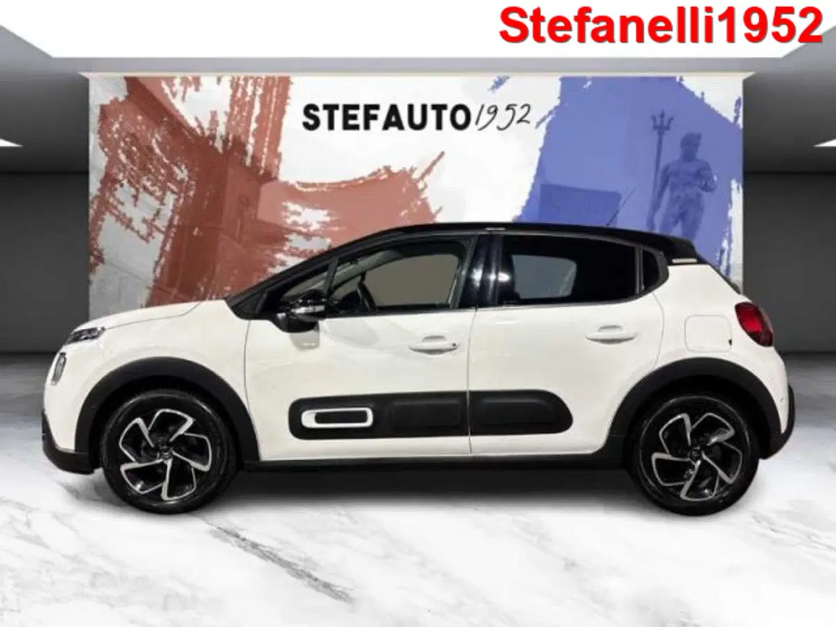 Citroen C3 usata a Bologna (4)