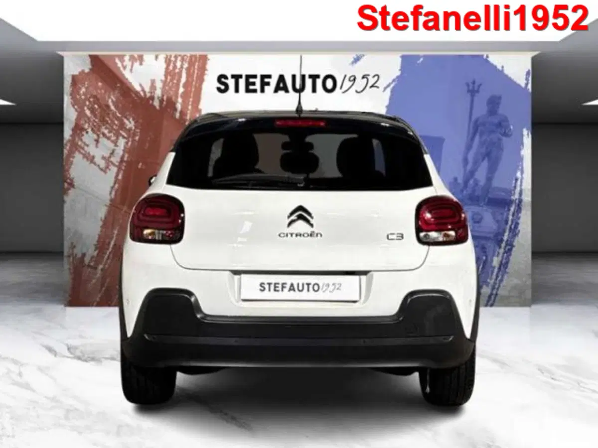Citroen C3 usata a Bologna (6)