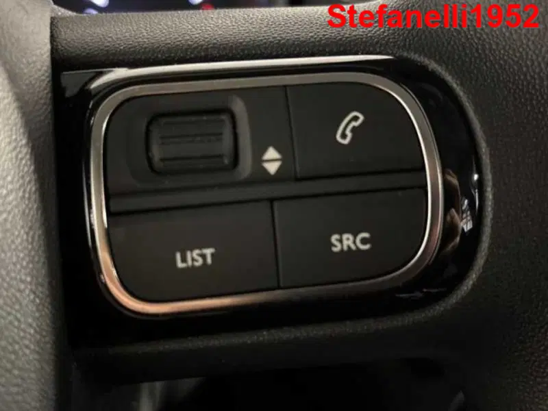 Citroen C3 usata a Bologna (19)
