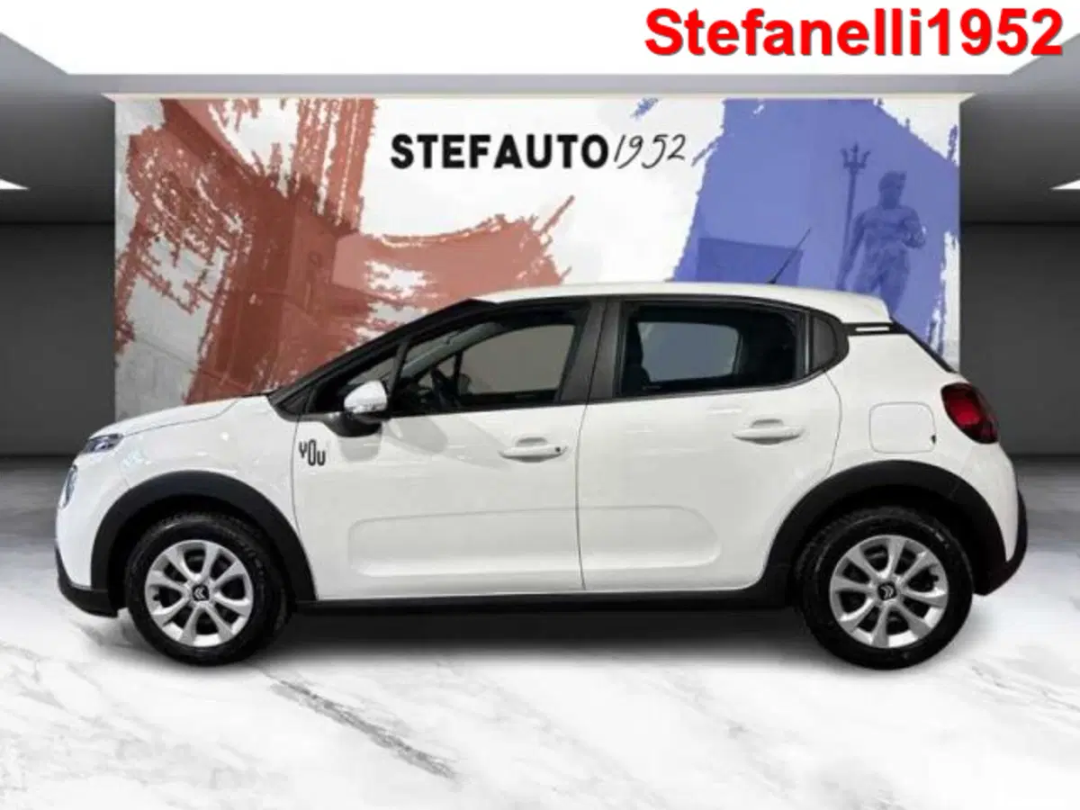 Citroen C3 usata a Bologna (4)