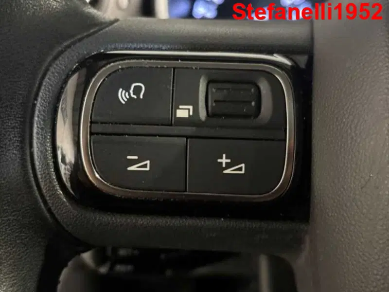 Citroen C3 usata a Bologna (20)