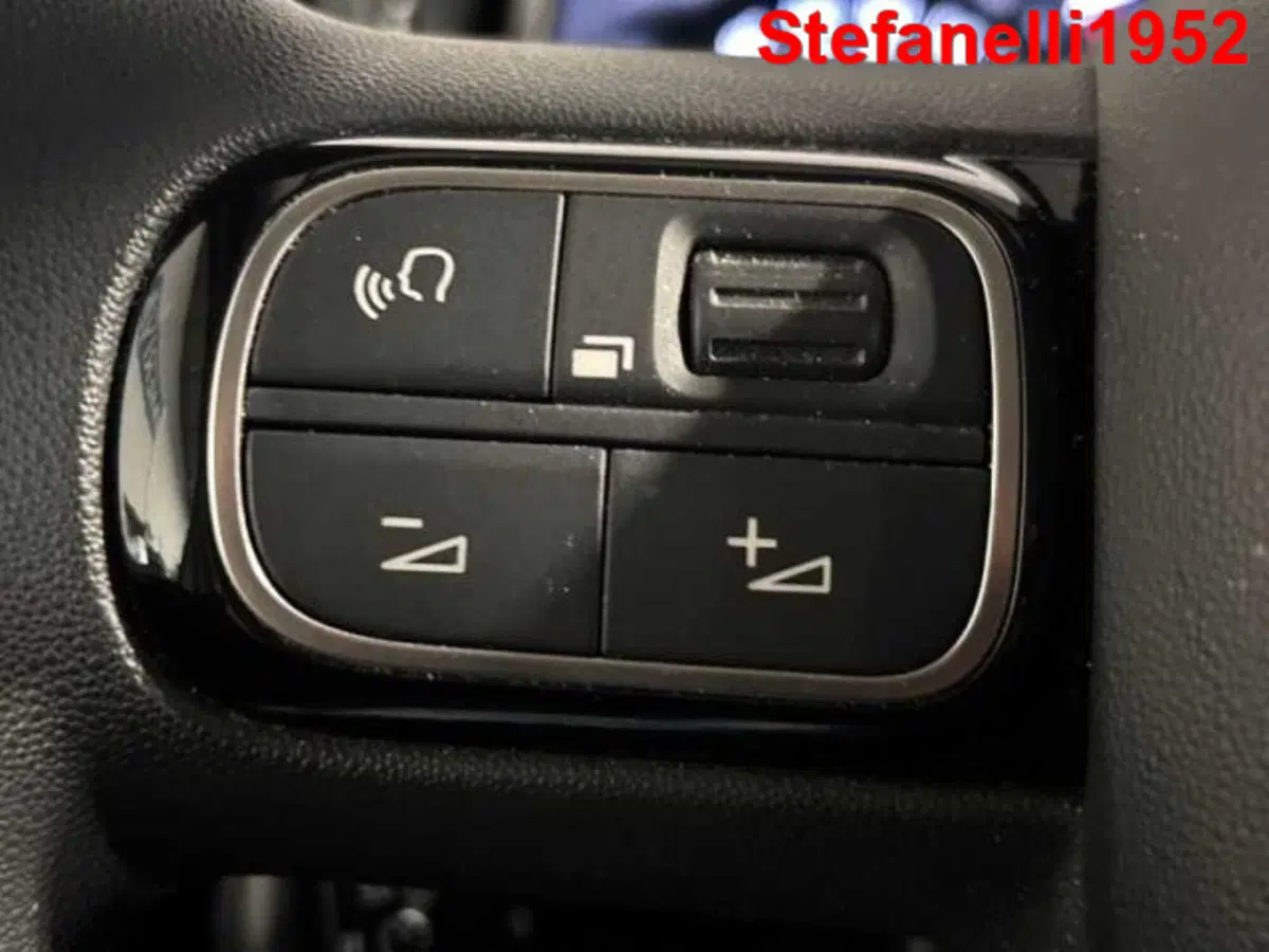 Citroen C3 usata a Bologna (19)