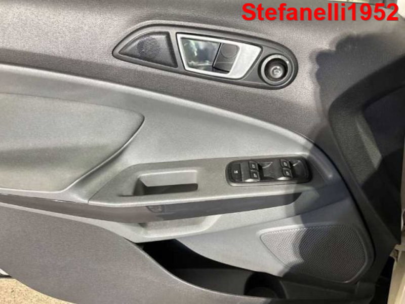 Ford EcoSport usata a Bologna (10)