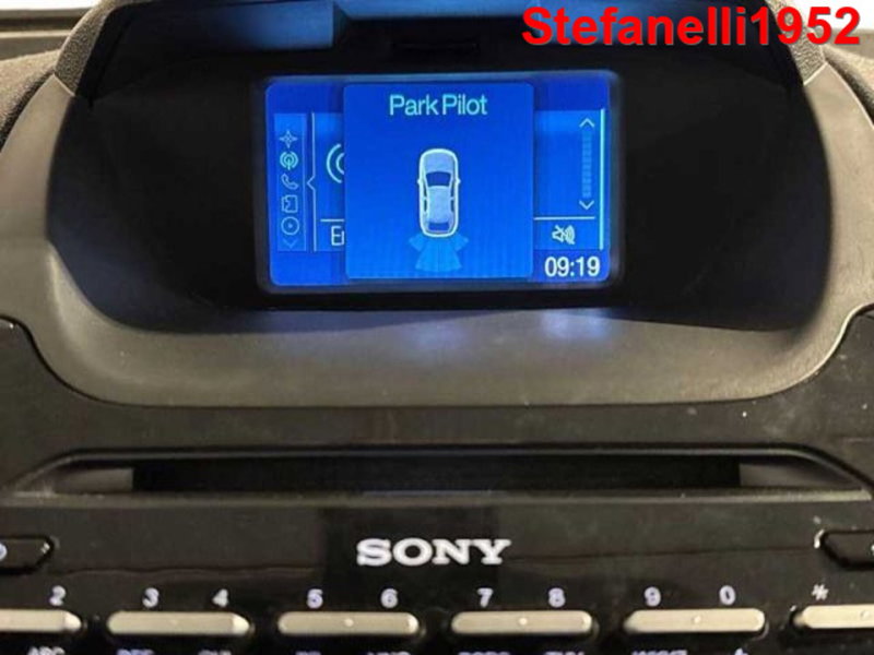 Ford EcoSport usata a Bologna (17)