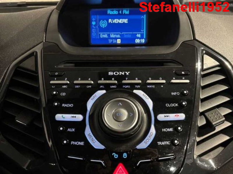 Ford EcoSport usata a Bologna (18)