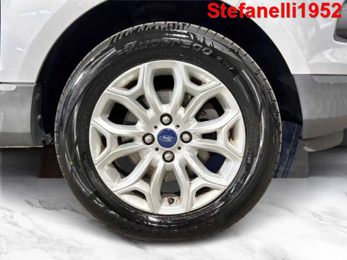 Ford EcoSport usata a Bologna (8)
