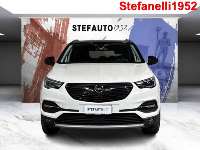 Opel Grandland X usata a Bologna (2)