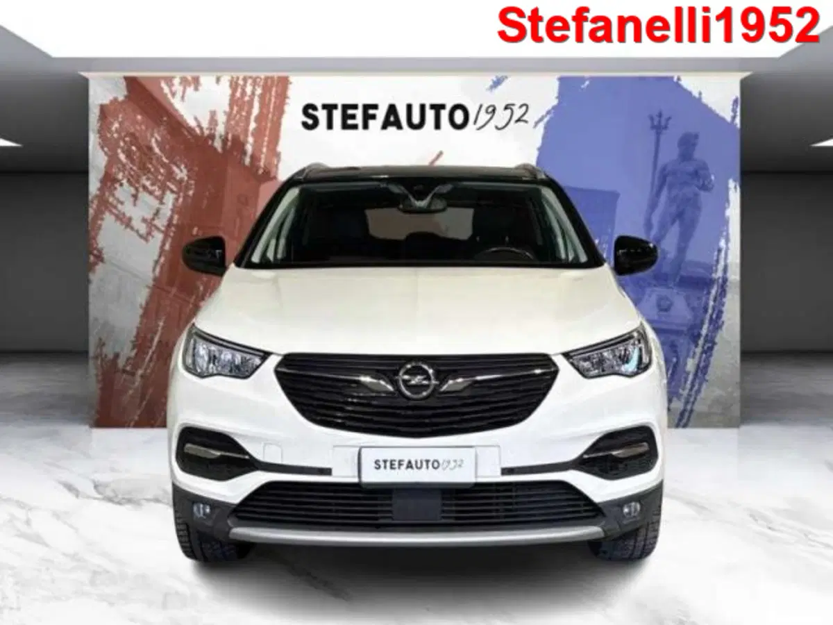 Opel Grandland X usata a Bologna (2)