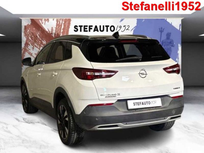 Opel Grandland X usata a Bologna (5)