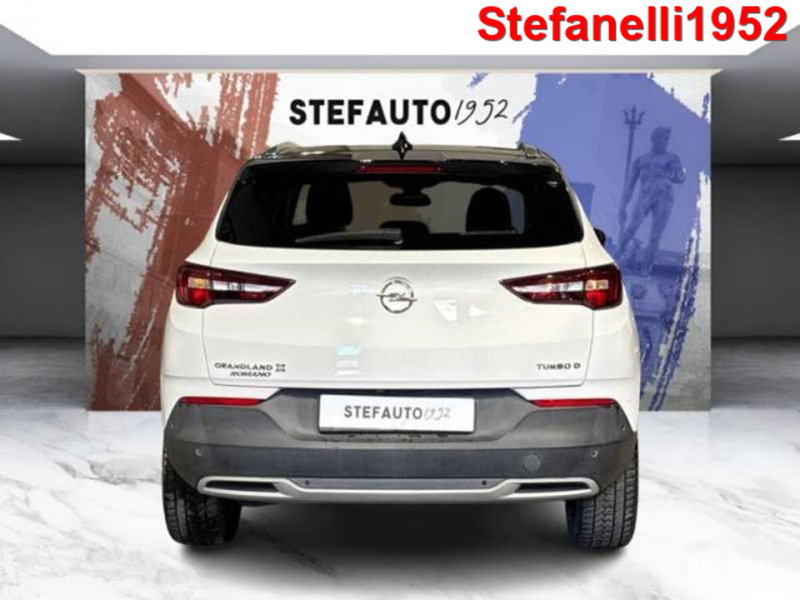 Opel Grandland X usata a Bologna (6)