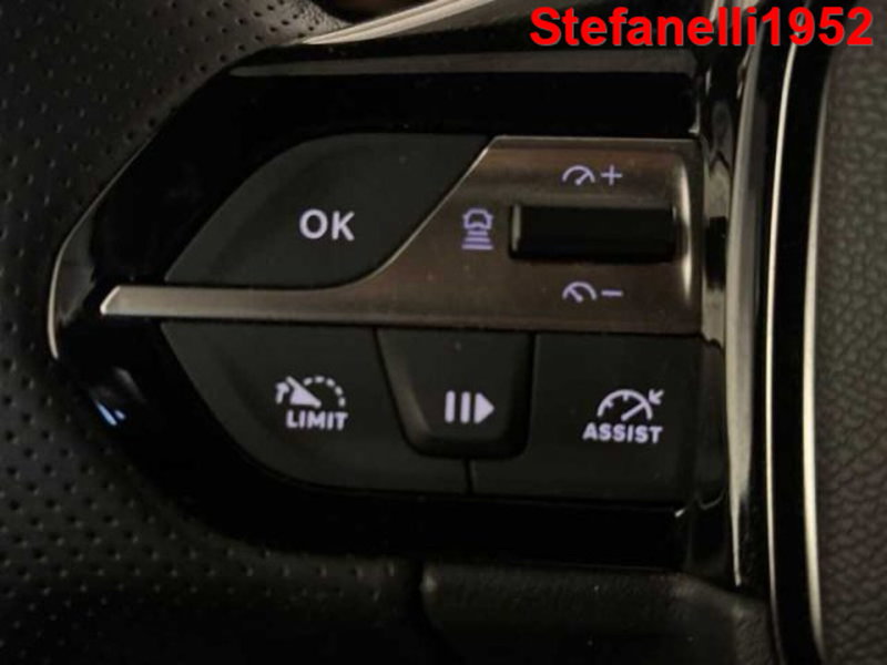 Peugeot 308 SW usata a Bologna (20)