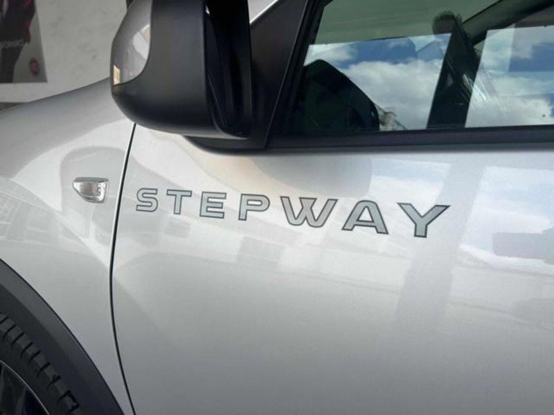 Dacia Sandero usata a Vercelli (9)