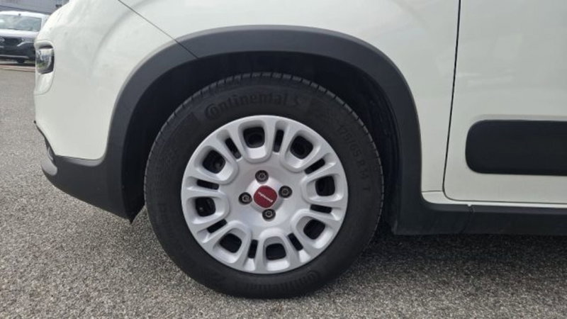 Fiat Panda usata a Lucca (17)