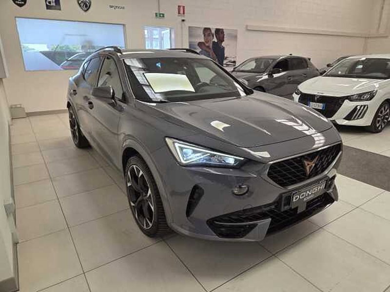 Cupra Formentor usata a Brescia (2)