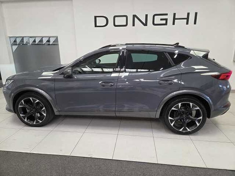 Cupra Formentor usata a Brescia (6)