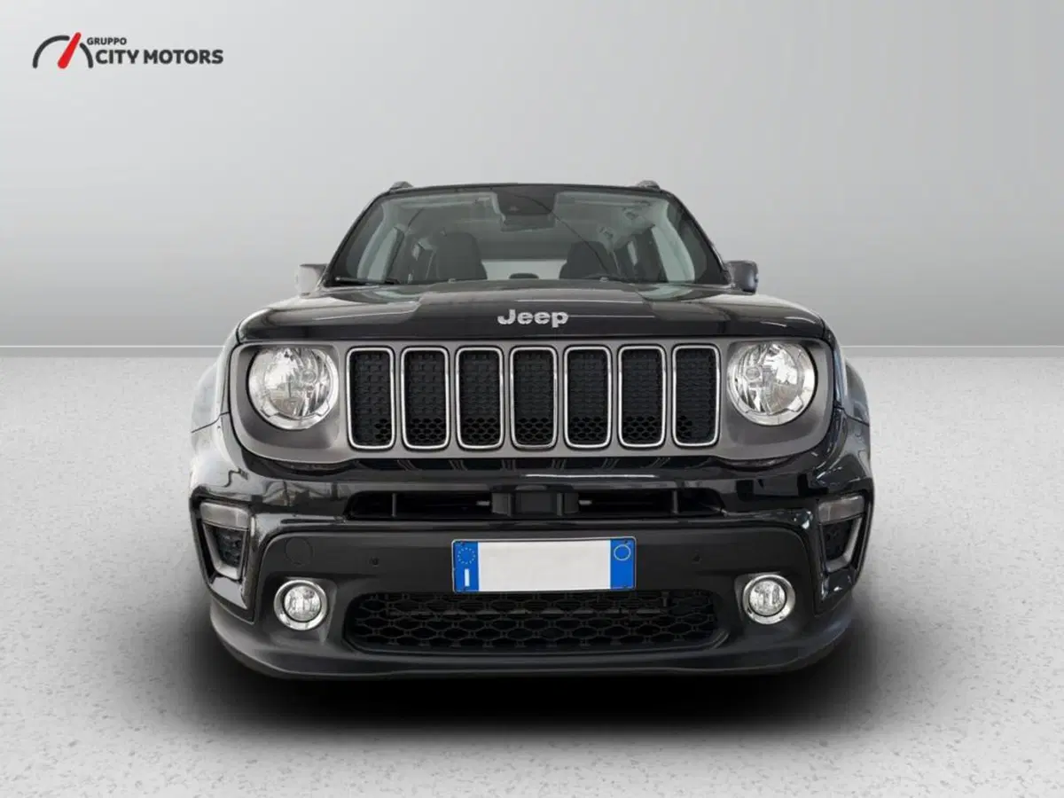 Jeep Renegade usata a Monza e Brianza (2)