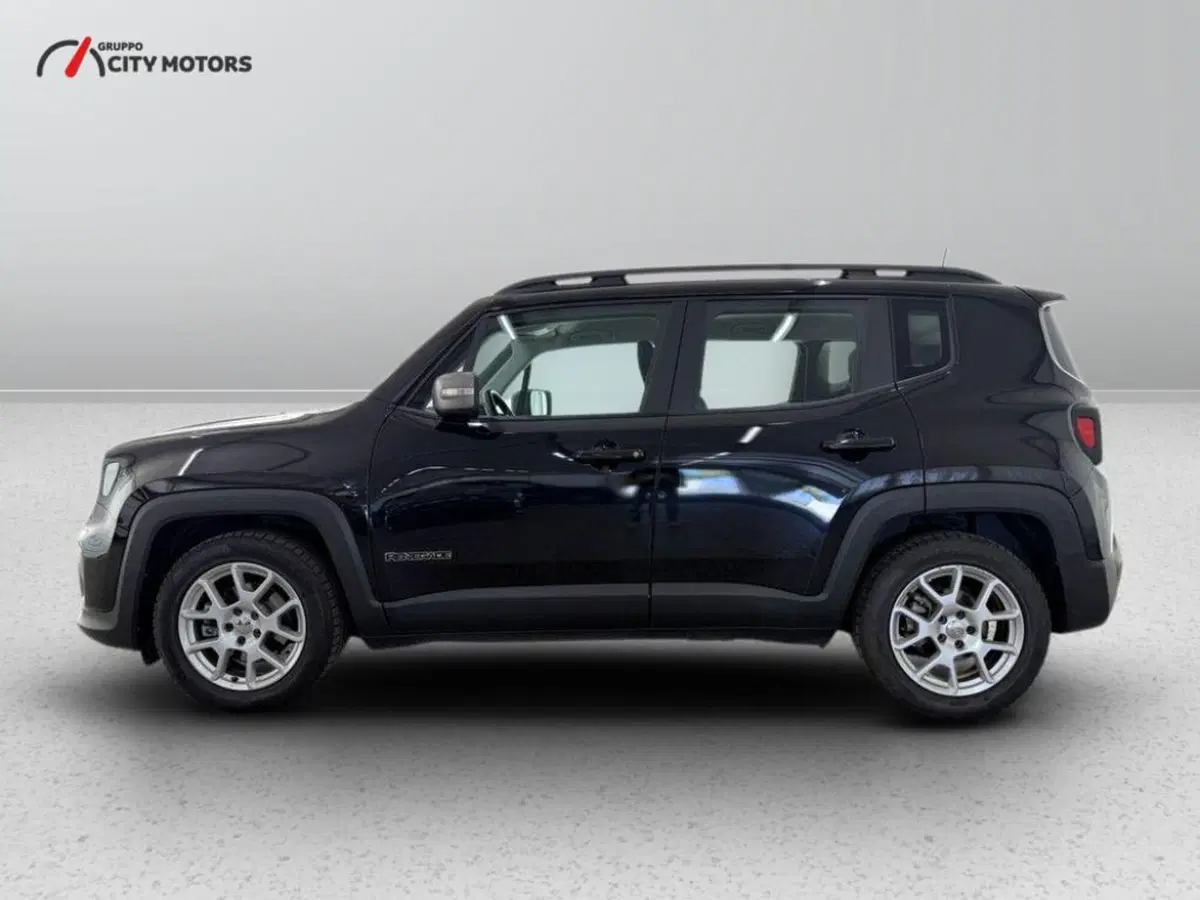 Jeep Renegade usata a Monza e Brianza (3)