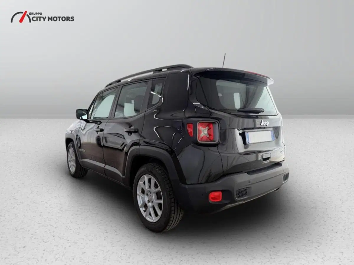 Jeep Renegade usata a Monza e Brianza (4)