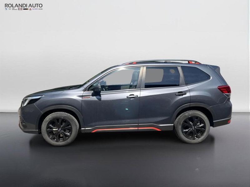 Subaru Forester usata a Alessandria (4)