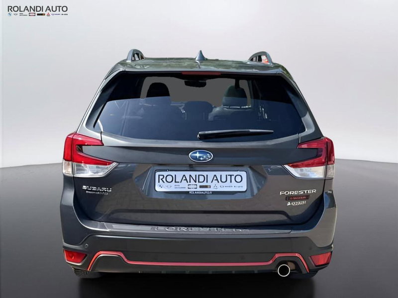 Subaru Forester usata a Alessandria (6)