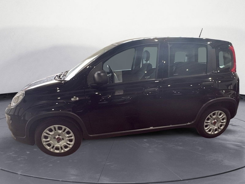 Fiat Panda Cross usata a Agrigento (3)