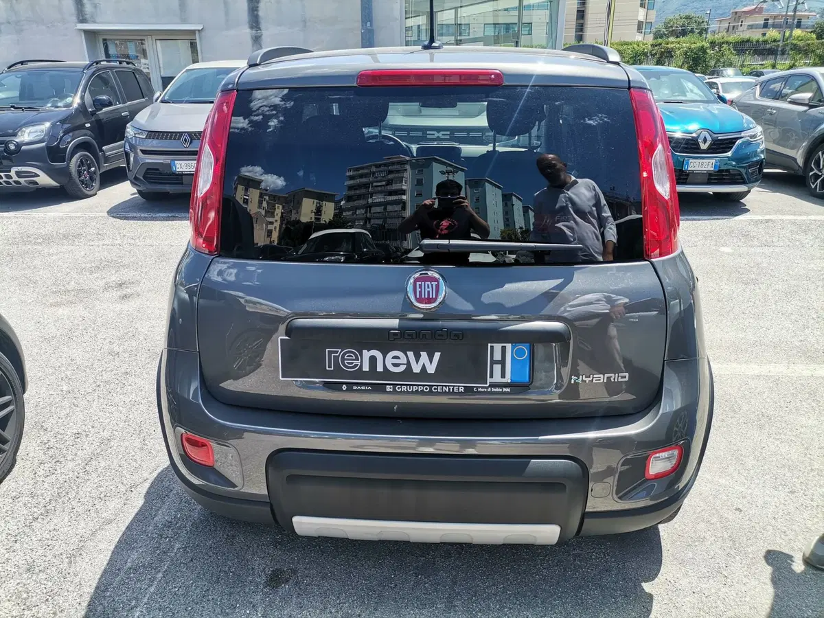 Fiat Panda Cross usata a Salerno (5)