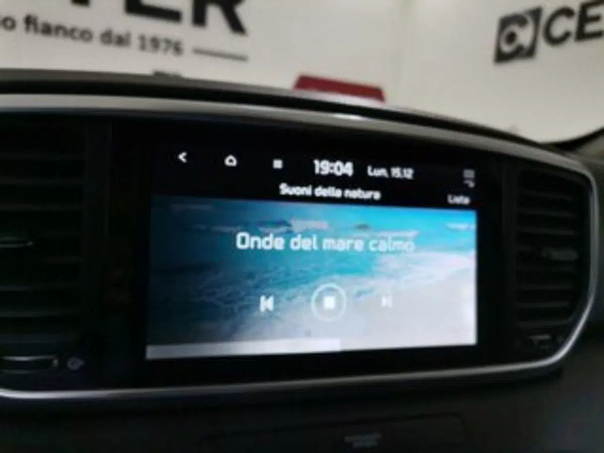 Kia Sportage usata a Salerno (14)