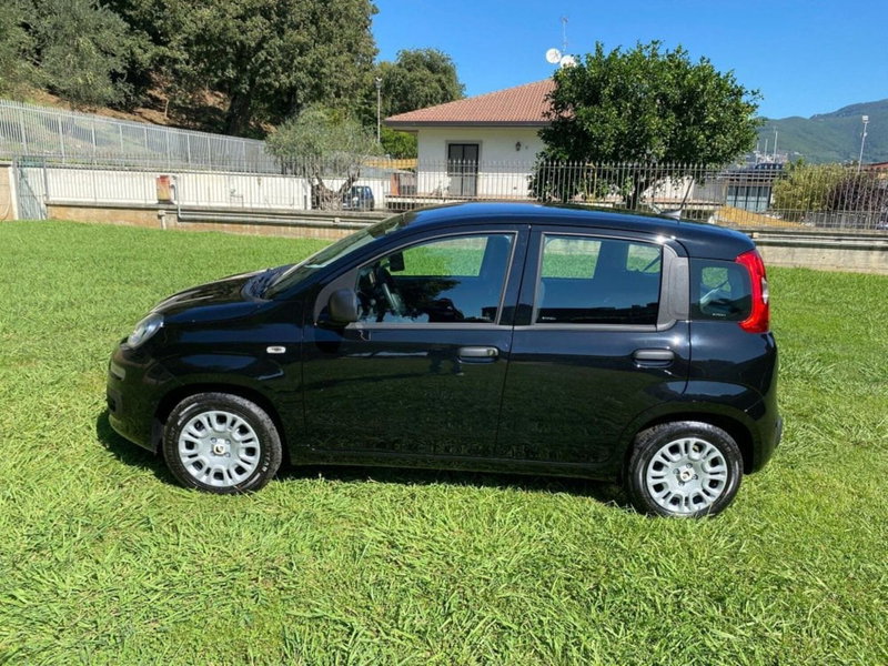 Fiat Panda nuova a Salerno (10)