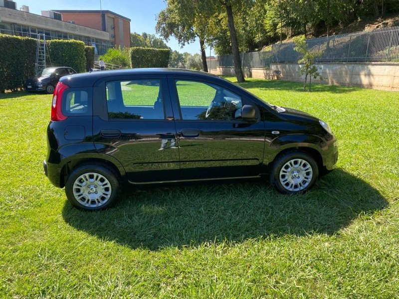 Fiat Panda nuova a Salerno (14)
