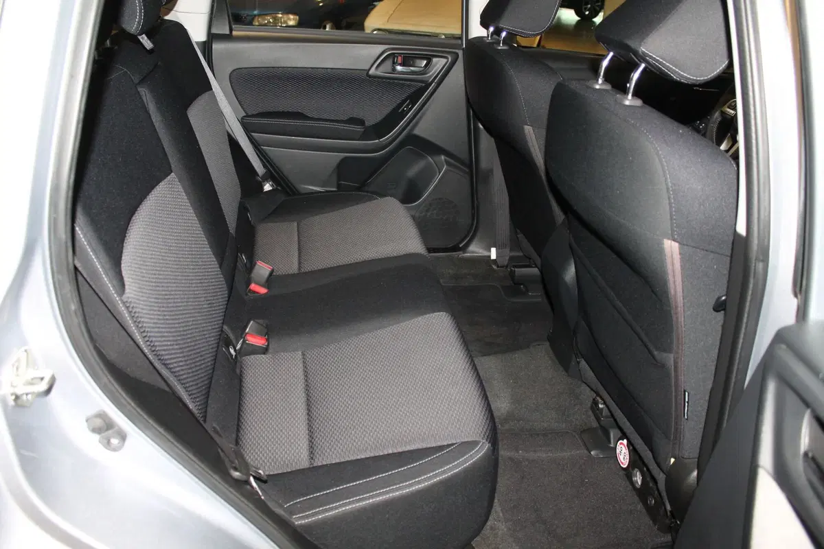 Subaru Forester usata a Cuneo (10)