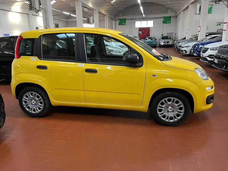 Fiat Panda nuova a Lucca (4)