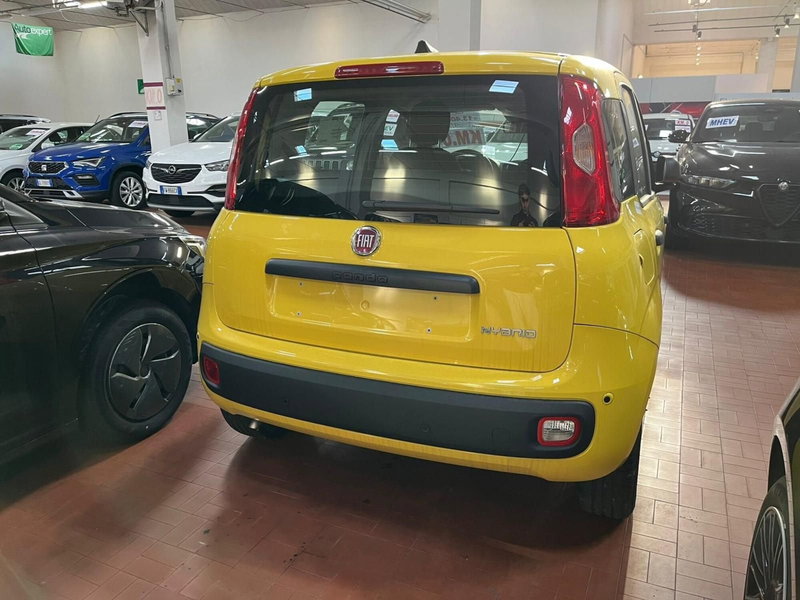 Fiat Panda nuova a Lucca (5)