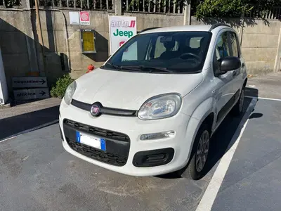 Fiat Panda 0.9 TwinAir Turbo Natural Power Easy del 2018 usata a Altopascio