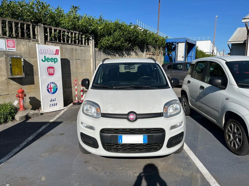 Fiat Panda usata a Lucca (2)