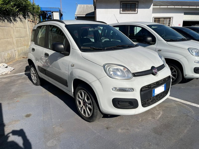 Fiat Panda usata a Lucca (3)