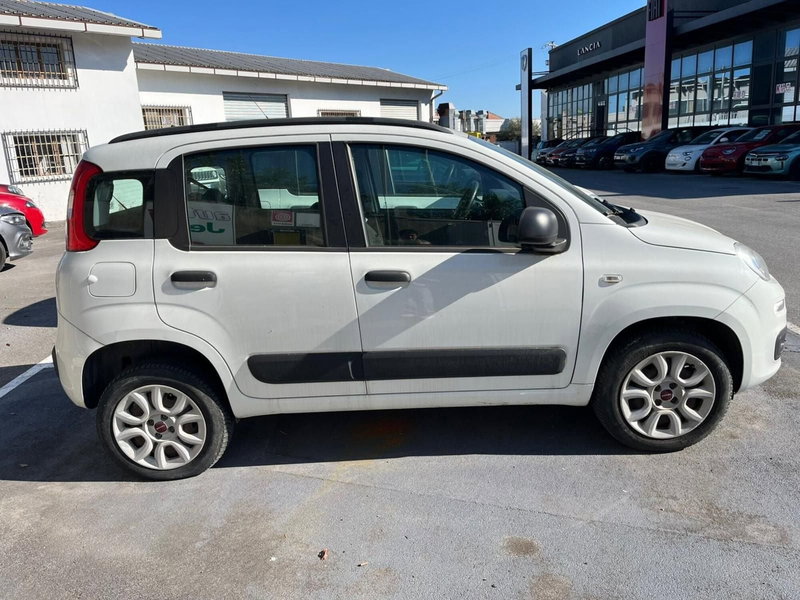 Fiat Panda usata a Lucca (4)