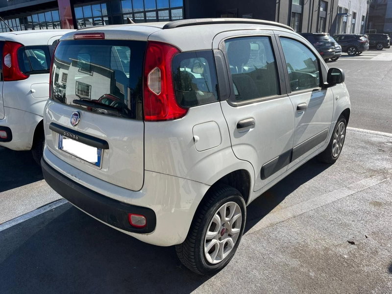 Fiat Panda usata a Lucca (5)