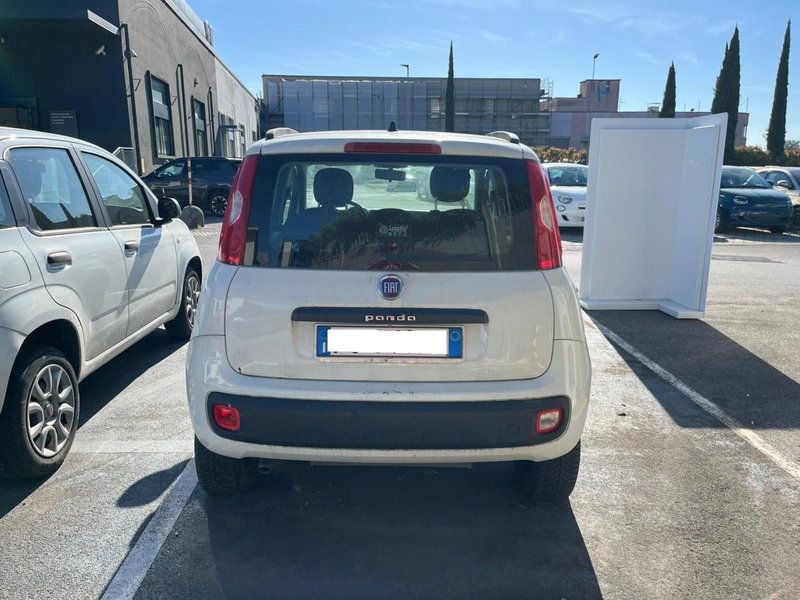 Fiat Panda usata a Lucca (6)