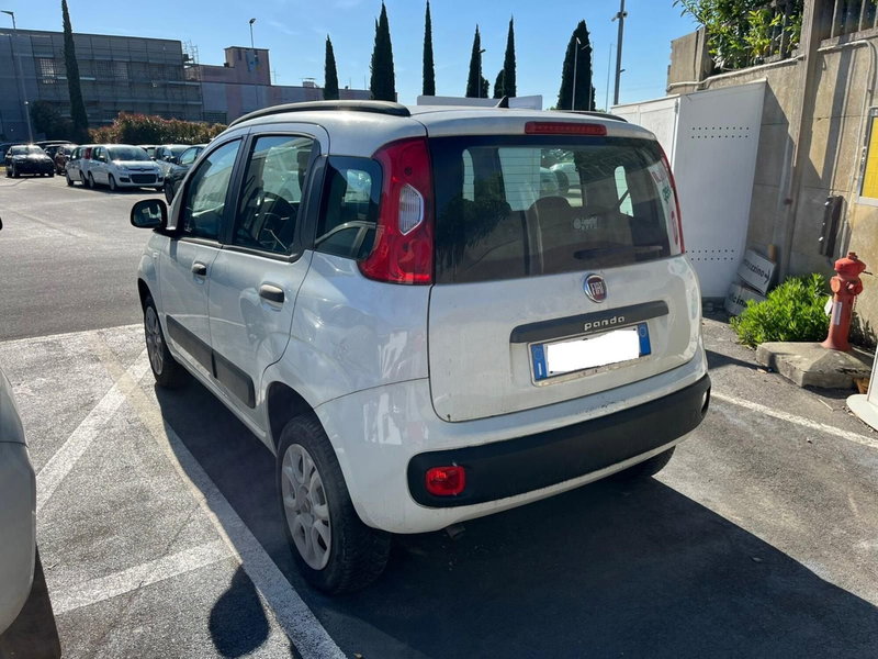 Fiat Panda usata a Lucca (7)